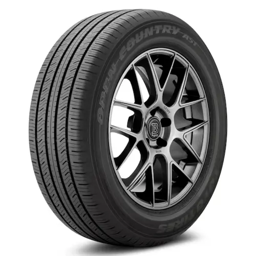 265/55R19 109V OPA51 